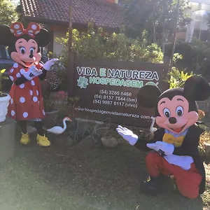 Vida E Natureza 2* グラマド