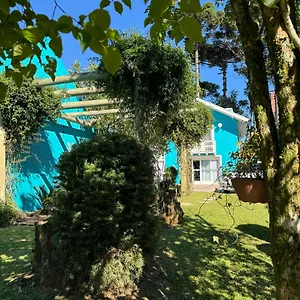 Lanai 여관 3*